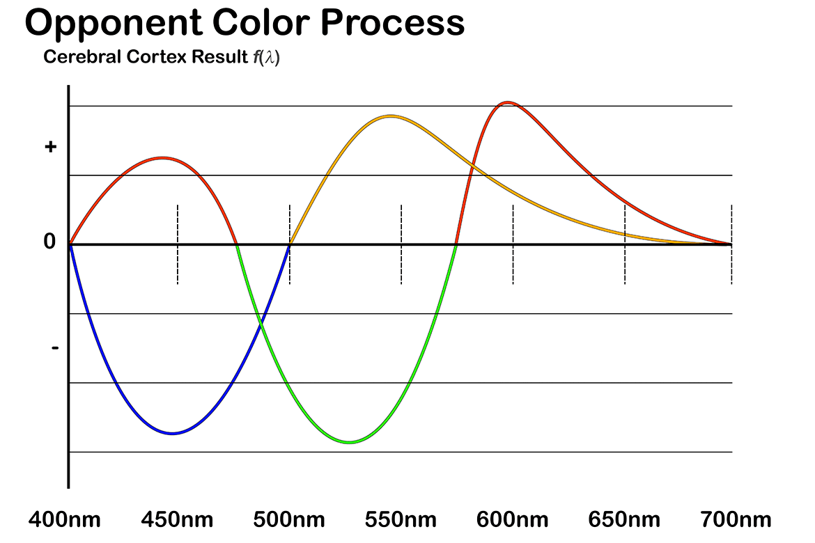 Visual Opponent Color Process Graphic